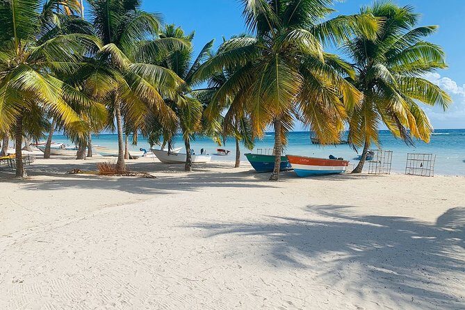 Private Boat Nature Tour of Saona Island - Lunch, Snacks, Water, and Life Jackets: The Small Details That Remove Stress
