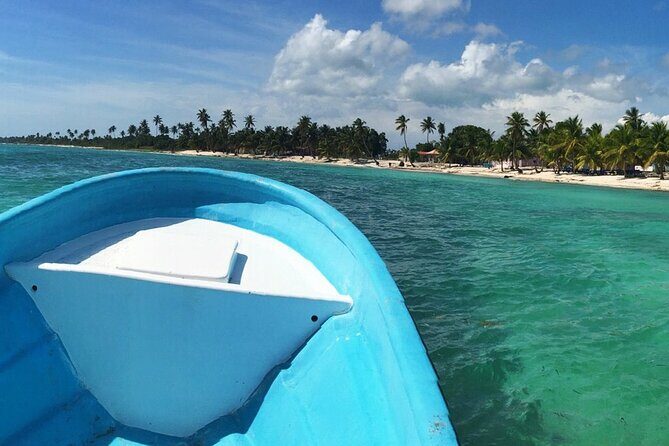 Private Boat Nature Tour of Saona Island - Price and Value: What $345 Per Person Covers (and Why It Might Still Be a Deal)