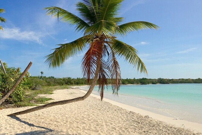 Private Boat Nature Tour of Saona Island - Who Should Book This Private Saona Nature Tour?