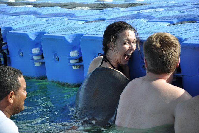 Private Caribbean Snorkeling Cruise At Punta Cana & Sharks, Stingray Encounter - The 4-Hour Flow: Bavaro Snorkel, Sharks & Rays, Natural Pool