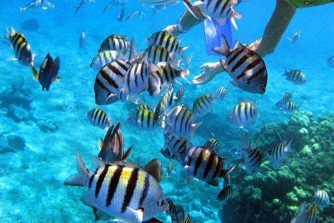 Private Catamaran Booze Cruise & Snorkeling - Snacks and On-Board Amenities: Small Details That Matter