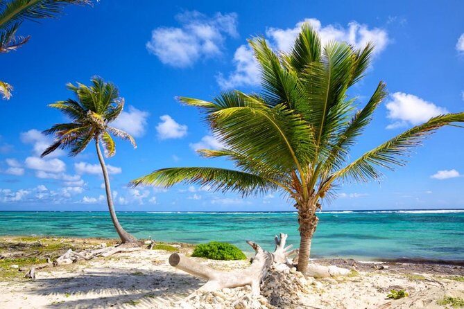 Private Departure Transfer from Uvero Alto to Punta Cana airport (PUJ) - Price and Value: When $57.60 Per Group Works