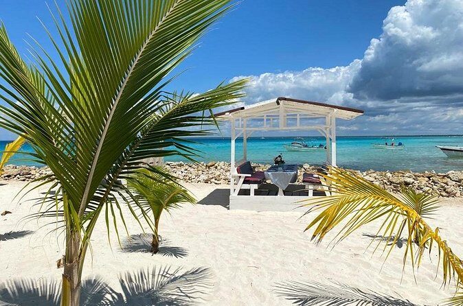 Private Full Day Tour of Punta Cana - Snorkeling Off Bayahibe: Corals and Fish Time at the End