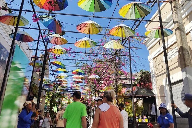 Private Guided Tour: Explore Puerto Plata’s Rich History! - Umbrella Street and Paseo de Doña Blanca: Color on the Walk
