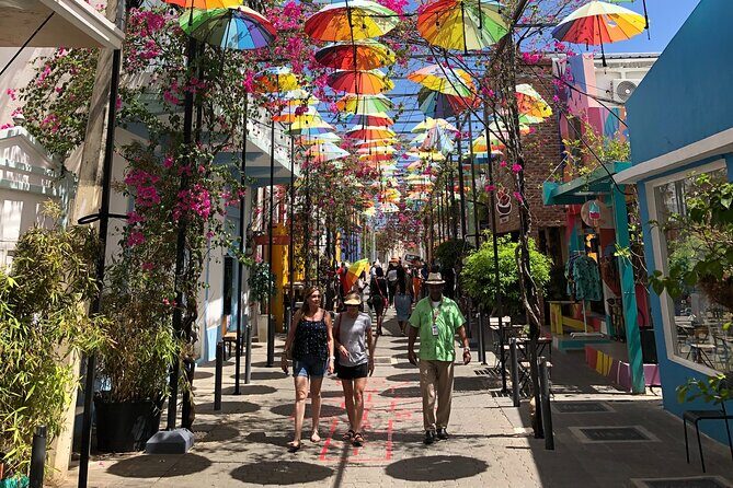 Private Guided Tour: Explore Puerto Plata’s Rich History! - Rum, Amber, and Chocolate: Stops That Actually Taste Like Puerto Plata