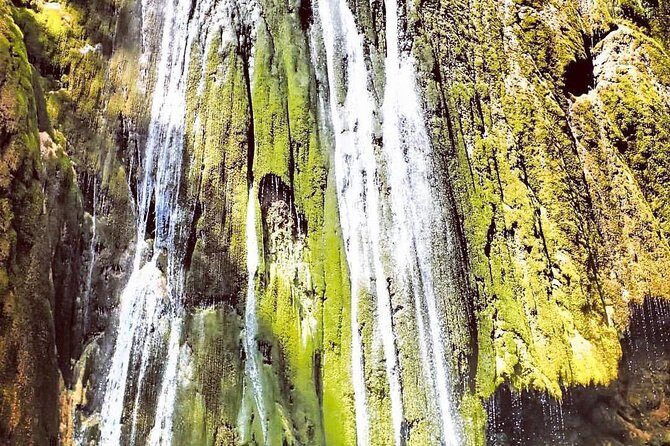 Private Hiking to Salto el Limon with a Local expert Guide from Samana - Why a private El Limon hike beats the big-group version