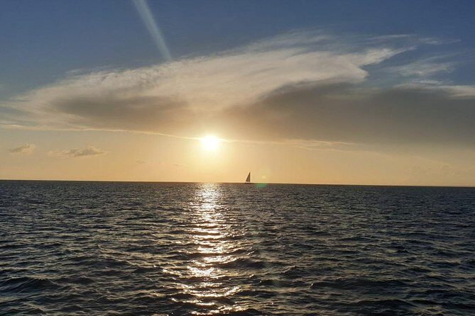 Private Luxury Catamaran - Saona or Catalina island - Las Palmillas and Other Breaks for Legs and Photos