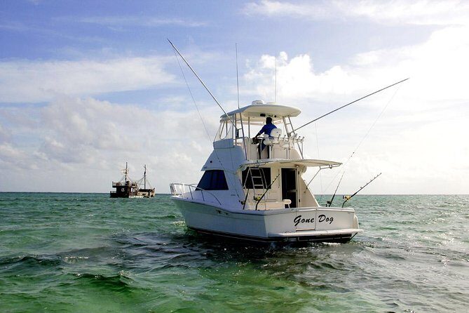 Private Punta Cana Six Hour Fishing Charter - Big-Game Targets: What You Might Catch and What That Means for Your Day