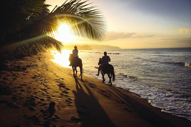 Private Sunset Horseback Riding in punta cana beach - Key things that make this ride worth it
