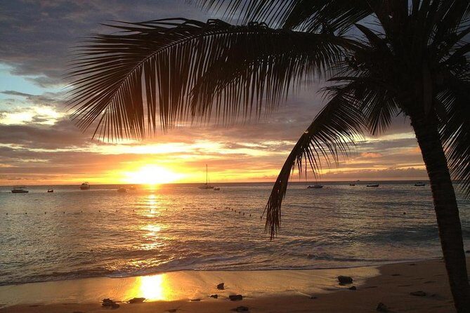 Private Sunset Horseback Riding in punta cana beach - A ranch just outside Punta Cana, then out to the coast