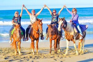 Private Sunset Horseback Riding in punta cana beach - Hotel pickup and the smooth start that sets the tone