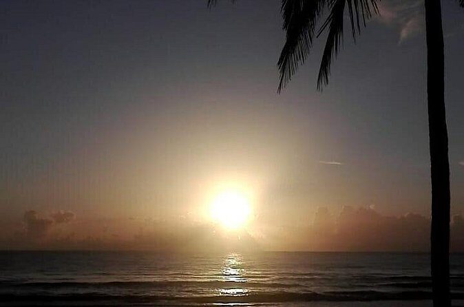 Professional surf lessons Dominican Republic, Cabarete, Encuentro - Price and value in Cabarete: what $49.04 buys you