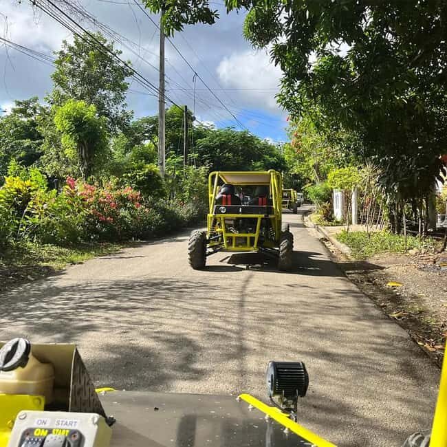 Puerto Plata: 2-Hour Buggy Adventure Tour - Rural Trails and Green Fields: Seeing Puerto Plata Where Cars Don’t Go