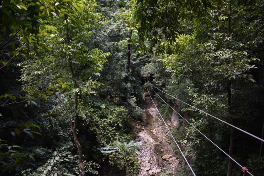 Puerto Plata/Amber Cove: Zipline and Waterfalls with Lunch - Five ziplines over waterfalls and jungle: the main event