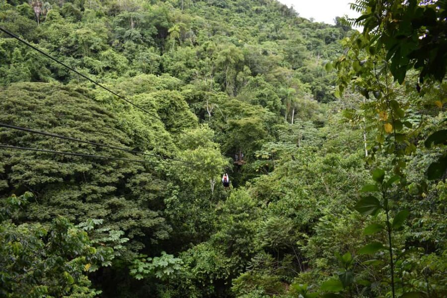 Puerto Plata/Amber Cove: Zipline and Waterfalls with Lunch - Who this tour fits best (and who should skip it)
