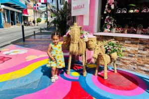 Puerto Plata City Private Tour - Getting to the start: port and hotel pickup that saves time