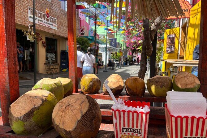 Puerto Plata City Private Tour - Paseo de Doña Blanca: rose alley charm and calm history talk