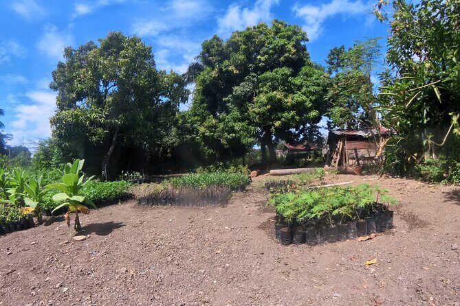 Puerto plata city tour and beach - Stop 3: Puerto Plata Cigar Club—short, practical, and included