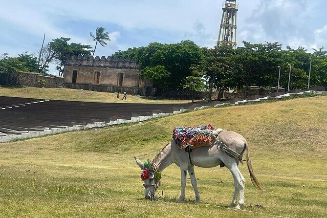 Puerto Plata City Tour Ron Puros Culture and History - Fortress San Felipe: the pirate-era stop that sets the tone