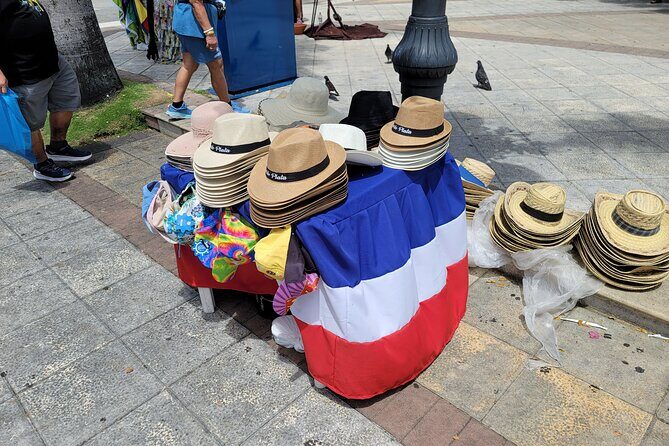 Puerto Plata City Tour VIP (Private and Customizable) - The included lunch, drinks, and market tastings that feel local