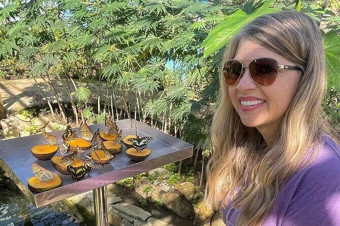 Puerto Plata City Tour with Butterfly Garden - Puerto Plata in 4 Hours: How This Half-Day Actually Works