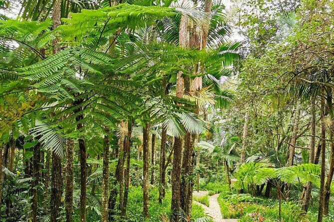 Puerto Plata City Tour with the Mount Isabel, Rum & Chocolate - Price and value: what $89 buys you beyond a bus ride