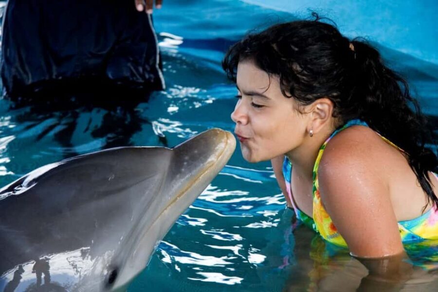Puerto Plata: Dolphin Encounter at Ocean World - Key highlights worth planning around