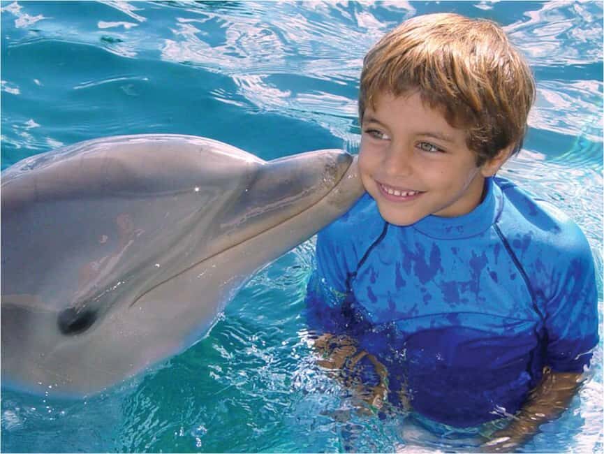Puerto Plata: Dolphin Encounter at Ocean World - Waist-Deep Dolphin Time: What the Encounter Really Feels Like