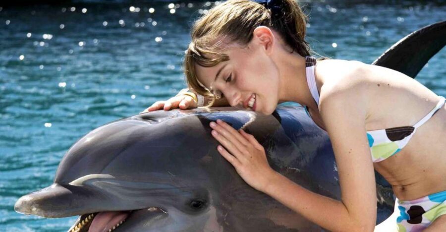 Puerto Plata: Dolphin Encounter at Ocean World - Pirate’s Pool, Rainforest Iguanas, and Bird Exhibit