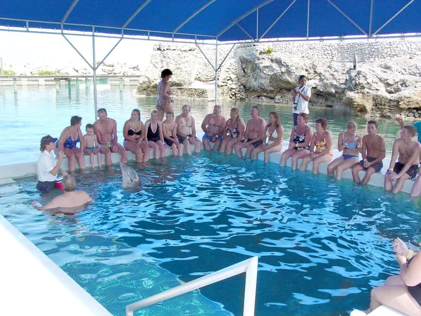 Puerto Plata: Dolphin Encounter at Ocean World - Practical Tips Before You Go