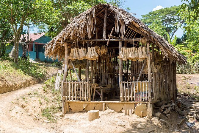 Puerto Plata: Escapada Cultural Tour in Puerto Plata - What You’re Really Buying: Food-to-Farm Culture in Puerto Plata