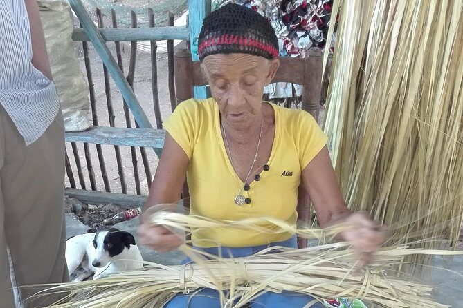 Puerto Plata: Escapada Cultural Tour in Puerto Plata - Tobacco Plantation and Artisanal Cigars: Watching the Leaf Become Craft