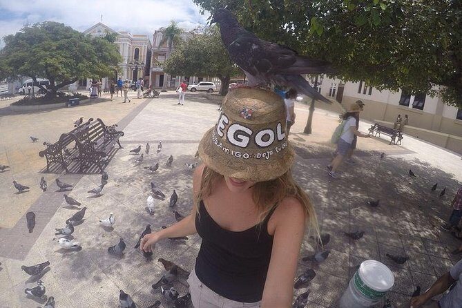 Puerto Plata Highlights and Resort Beach - Amber Cove & Taino Bay - Who this Puerto Plata Highlights and Resort Beach tour fits best
