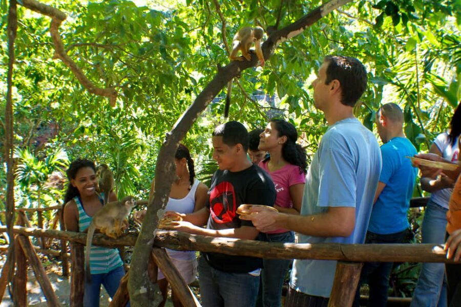 Puerto Plata: Monkeyland and Zip-Line Adventure - Who This Tour Is Best For (And Who It Isn’t)