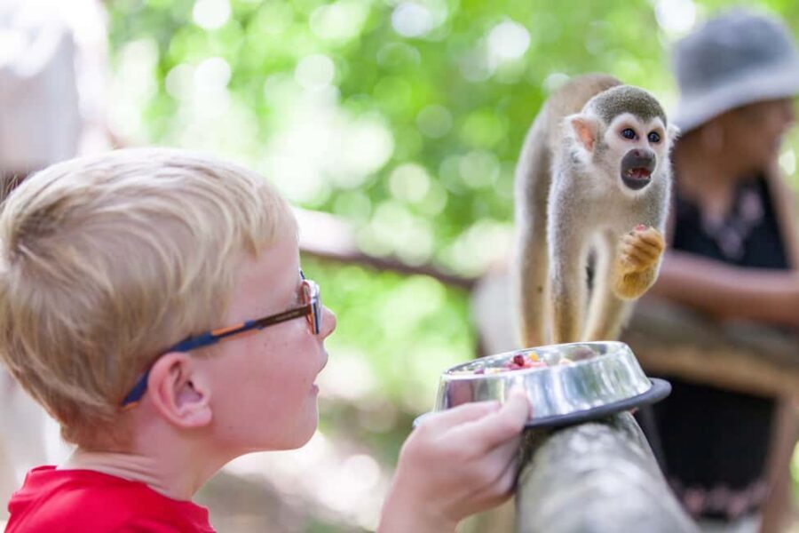 Puerto Plata: Monkeyland and Zip-Line Adventure - What the 5 Hours Feels Like, From Briefing to Platform to Plate