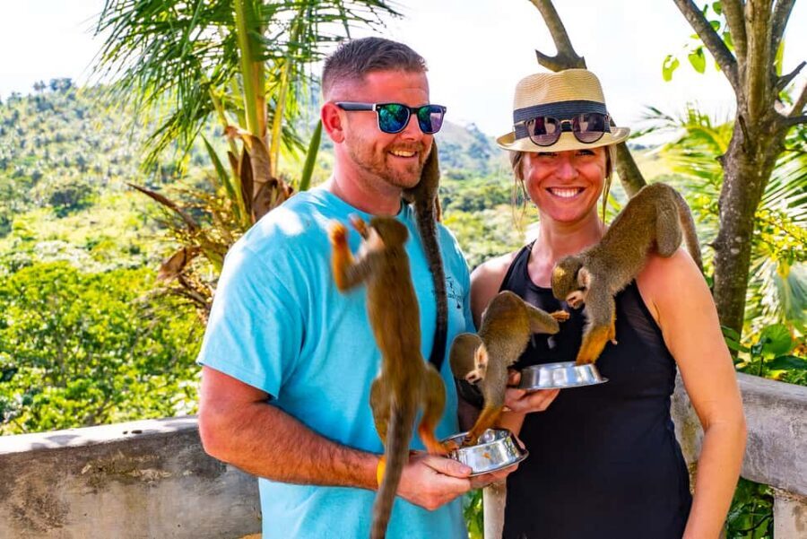 Puerto Plata: Monkeyland and Zip-Line Adventure - Monkeyland Close-Up: Squirrel Monkeys and Fruit Bites