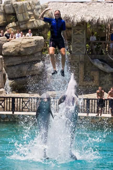 Puerto Plata: Ocean World Adventure Park Day Pass - Ocean World Puerto Plata: What Your Day Pass Really Includes