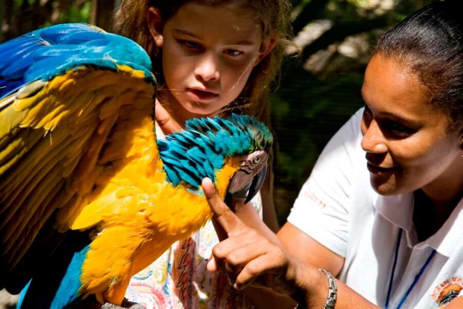 Puerto Plata: Ocean World Adventure Park Day Pass - Pirate’s Pool and Water Time: How to Fit It Without Rushing
