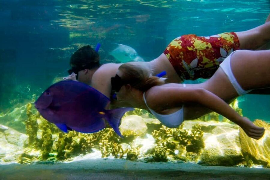 Puerto Plata: Ocean World Adventure Park Day Pass - Morning Pick-Up and Arrival: Plan for the Timing to Shift