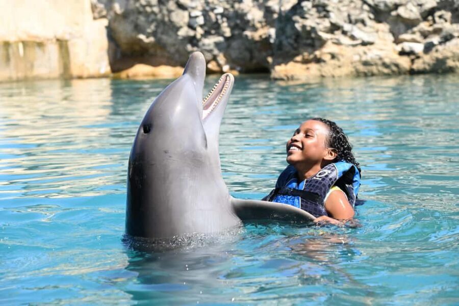 Puerto Plata Ocean World Dolphin Swim - Snorkeling in Tropical Reef Aquarium: What to Expect Underwater