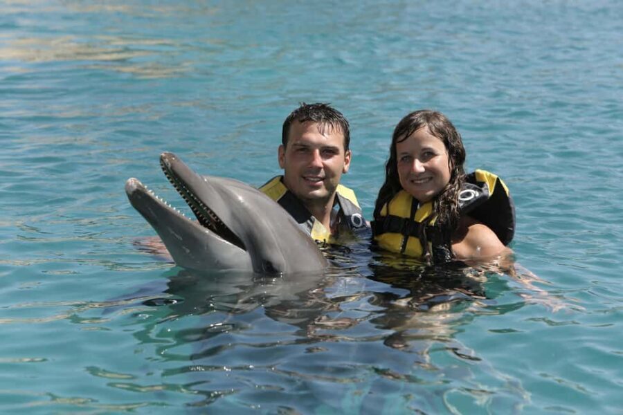 Puerto Plata Ocean World Dolphin Swim - Ocean World Day Pass Goodies: Snorkel Reef, Sea Lions, Shows, Rainforest