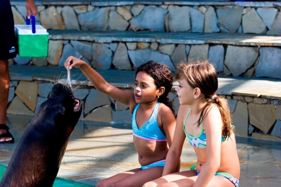 Puerto Plata Ocean World Tickets - Sea lion encounter at Ocean World: the 30-minute experience people talk about