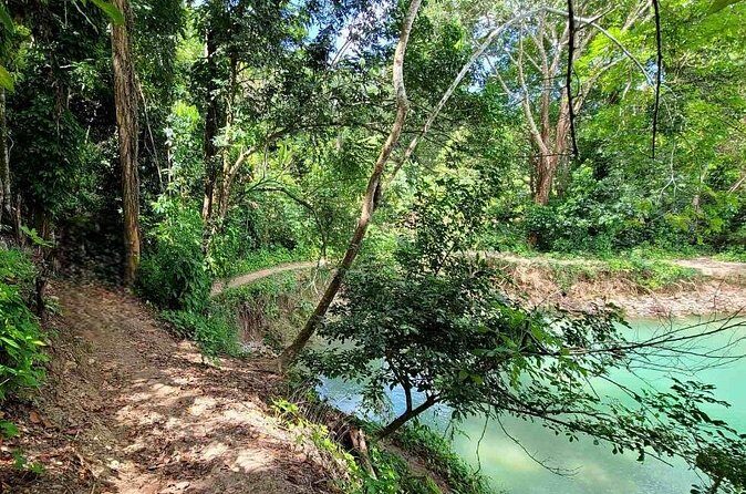 Puerto Plata Rejoya River Excursion Amber Cove Taino Bay Hotels - Meeting Jonathan Torres: why the guide matters