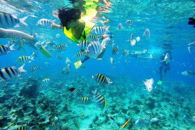 Puerto Plata Shore Excursion, Snorkeling tour & Sosua Beach Day - Puerto Plata Pickup to Sosúa Bay: Smooth Start, Small Group