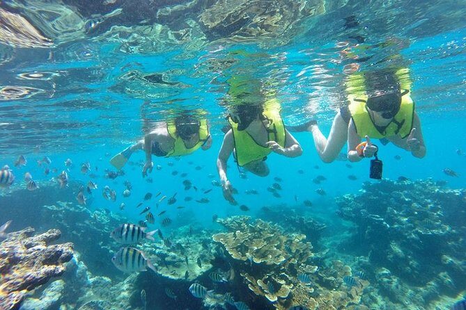 Puerto Plata Shore Excursion, Snorkeling tour & Sosua Beach Day - Eric Tours International Check-In: Where the Day Gets Organized