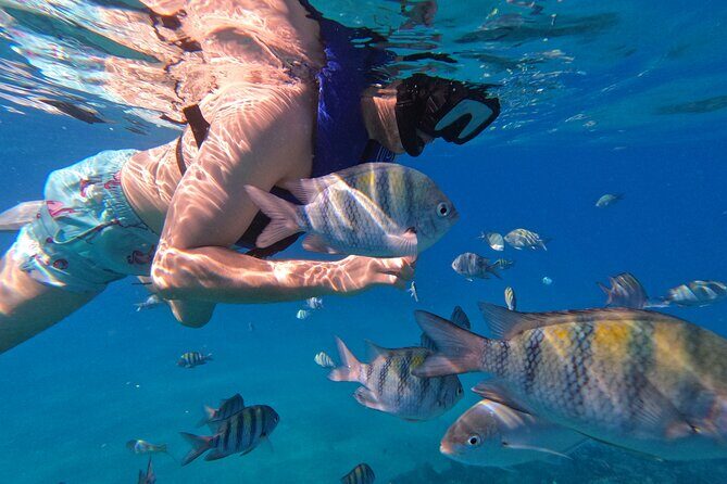 Puerto Plata Shore Excursion, Snorkeling tour & Sosua Beach Day - Who This Tour Fits Best (and Who Might Want Another Option)