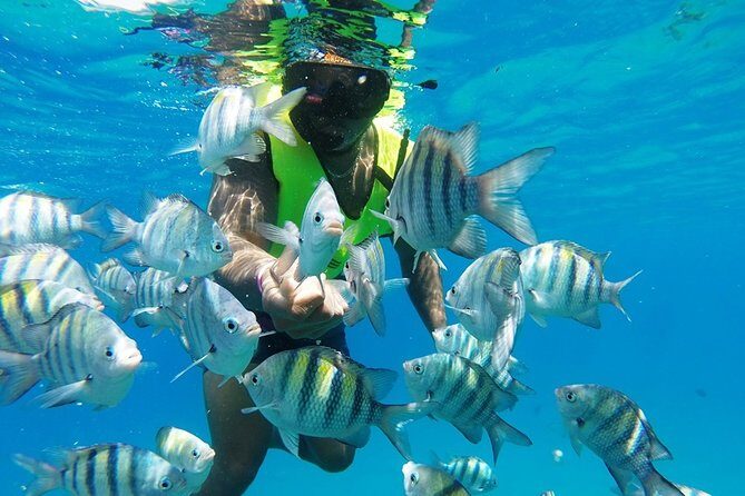 Puerto Plata Shore Excursion, Snorkeling tour & Sosua Beach Day - Speed Boat Ride, Gear Check, and Getting Comfortable Fast