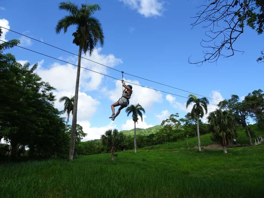 Puerto Plata: Zip Line Adventure - After the Flight: Botanical Garden Stroll (and a Little Extra Personality)