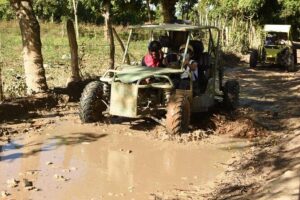 Punta Cana Buggy with Cave Dip, Mamajuana Tasting & Macao Beach - Riding to Macao Beach (And Why That Stop Matters)