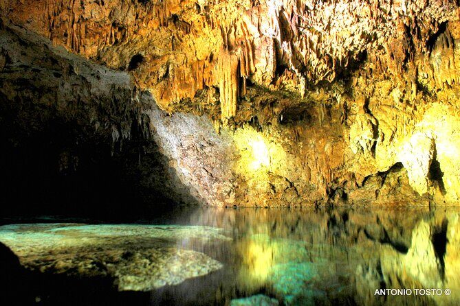 Punta Cana: Eco Jungle Tour - Rio Chavon and Yuca Yena: Boat Views Plus a Farm Moment